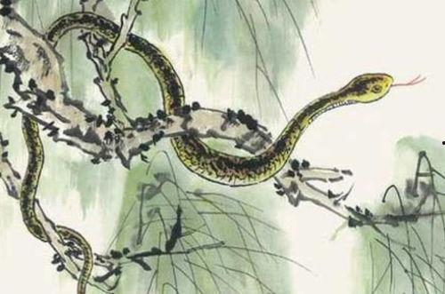 蛇与花2在线观看,在线揭秘神秘花蛇传说  第2张