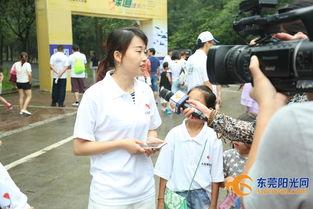 东莞记者爆料新闻最新,揭秘背后惊人真相！